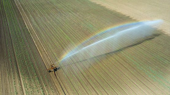 campos de cultivo regados con gran aspersor